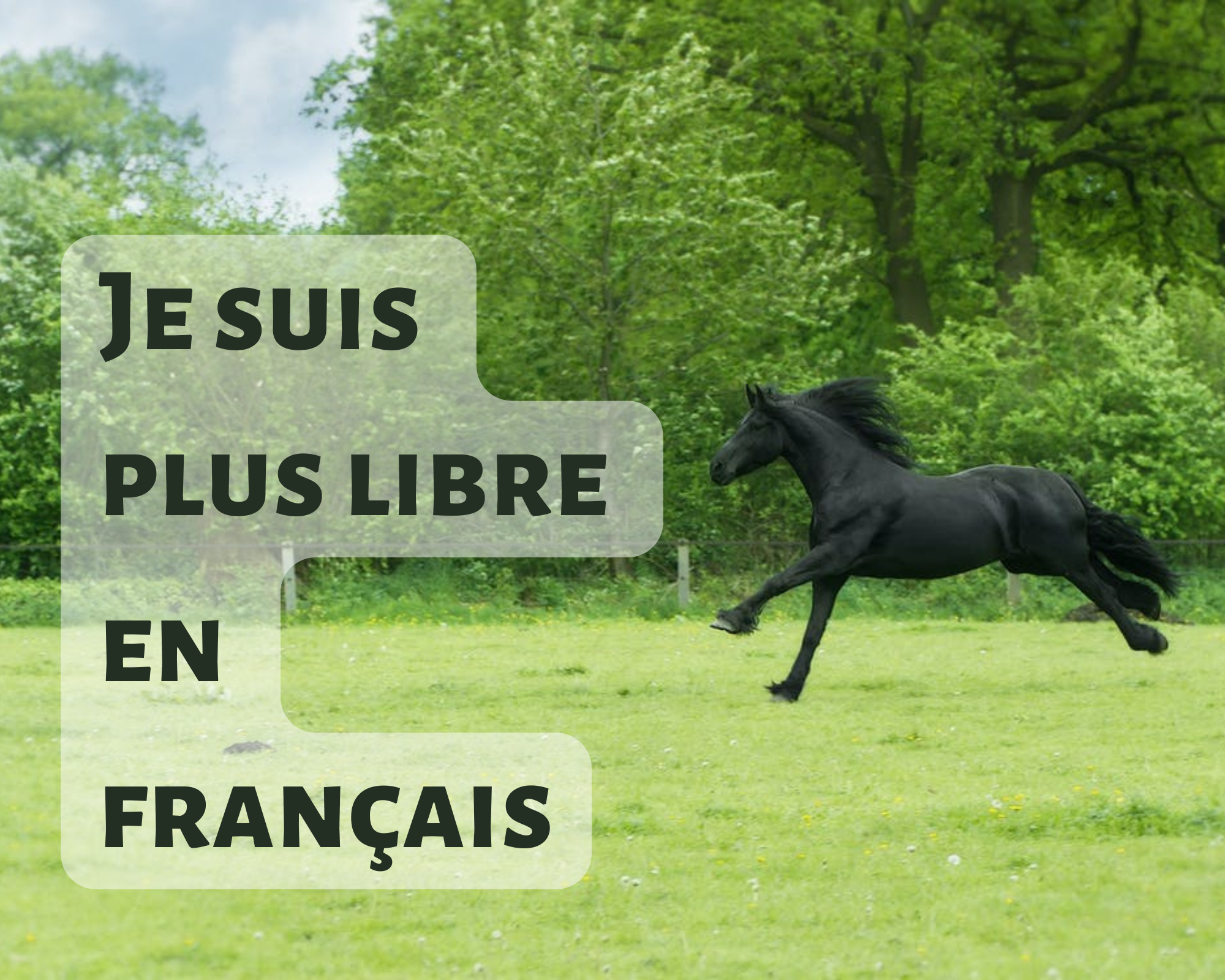 Je suis plus libre en français
