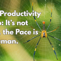 The productivity trap